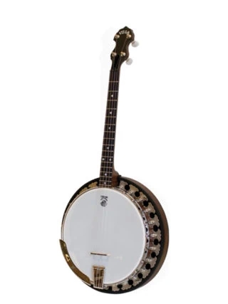 How to Avoid Common Mistakes When Buying a Banjo post thumbnail image