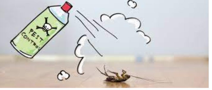 The Dangers of DIY Pest Control post thumbnail image